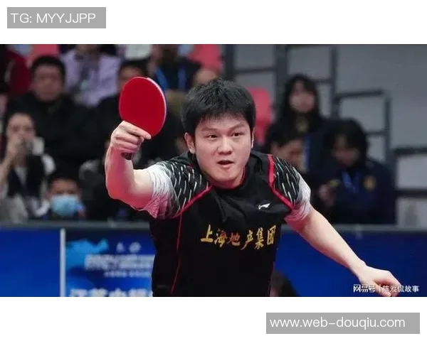 乒乓球的魅力揭秘：深入分析上海乒乓球队员的个人技术与实力