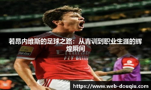 斗球直播